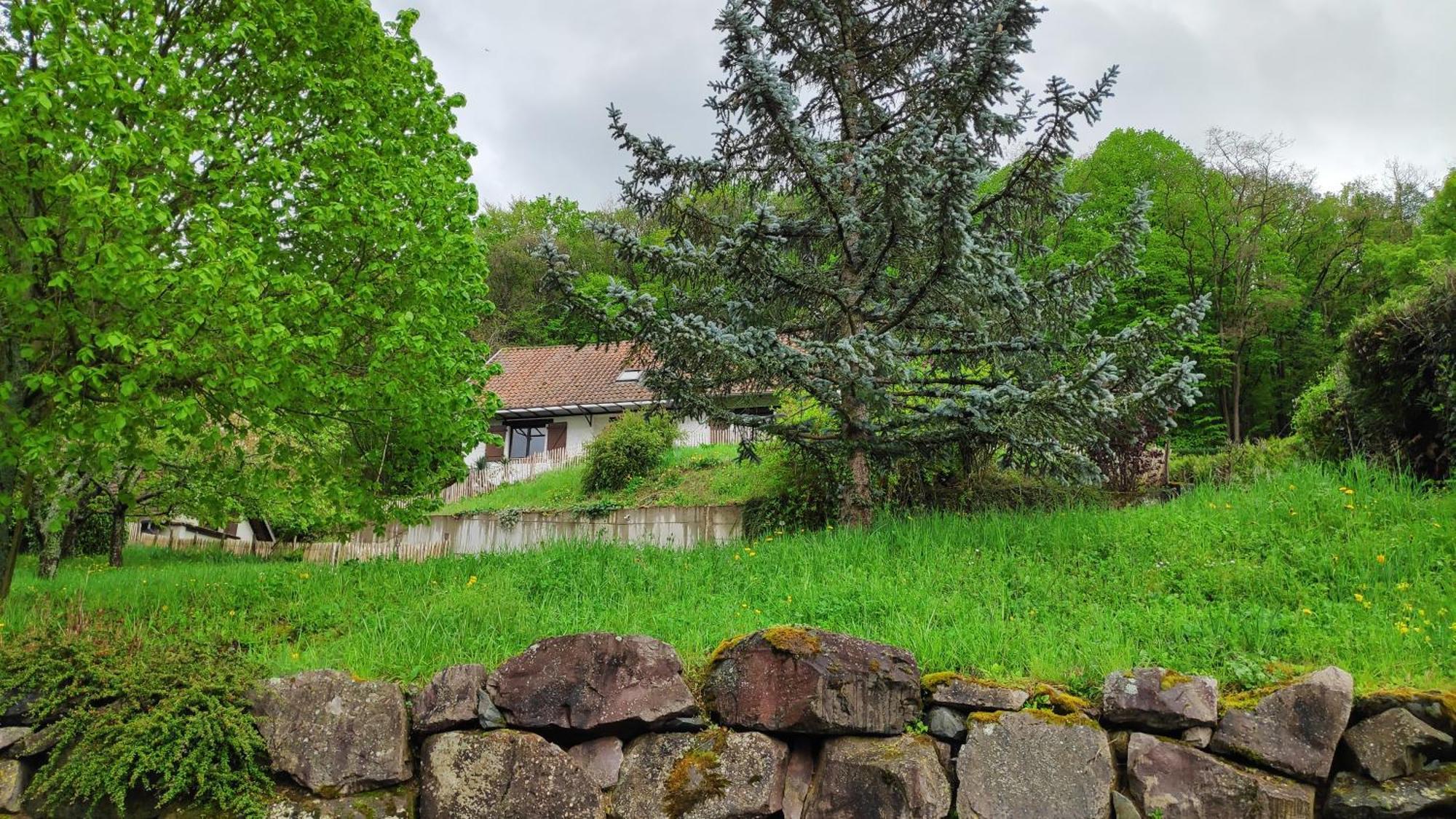 Villa Sous Le Tilleul Барр Екстер'єр фото